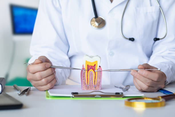 Best Emergency Denture Repair in Kinsey, AL